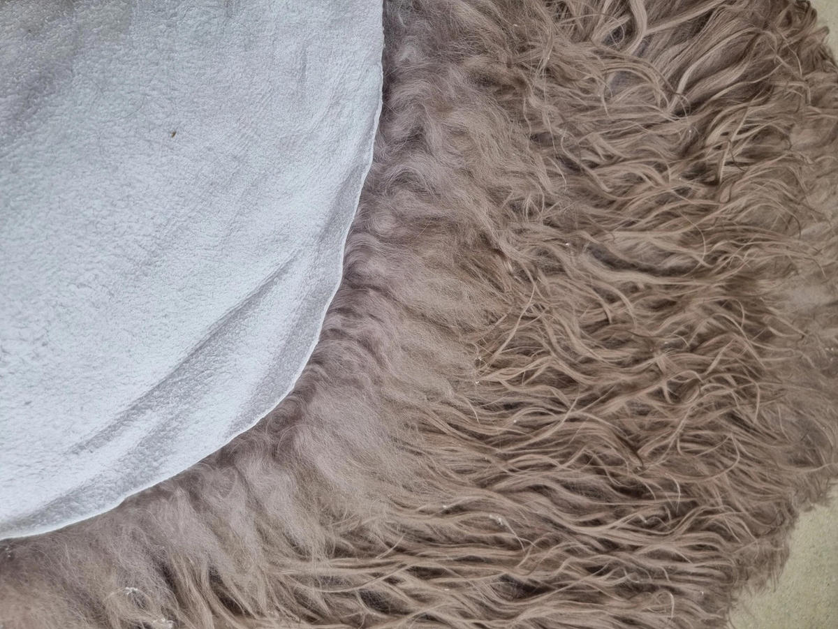 LAMMFELL Island Langhaar natur lockig weich Premium Hell Taupe ca. 135 cm - Taupe, Fell (75/135cm) - Provellus