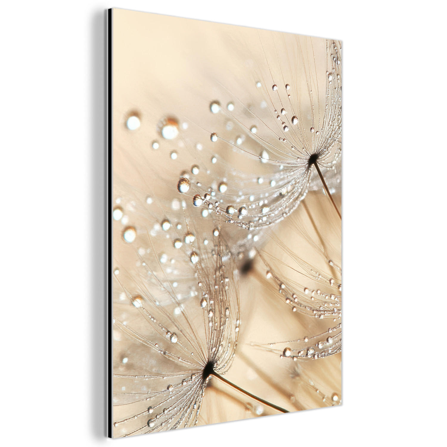 METALLBILD Löwenzahn - Abstrakt - Natur - Beige 60x80 cm - Braun, Metall (60/80cm) - MuchoWow