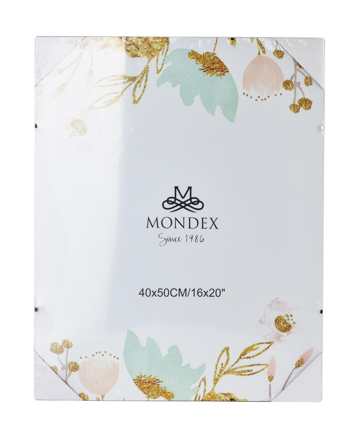 CLIPRAHMEN Adi Transparent 50/40/1 cm Kunstoff - Transparent, Kunststoff (40/1/50cm) - Mondex