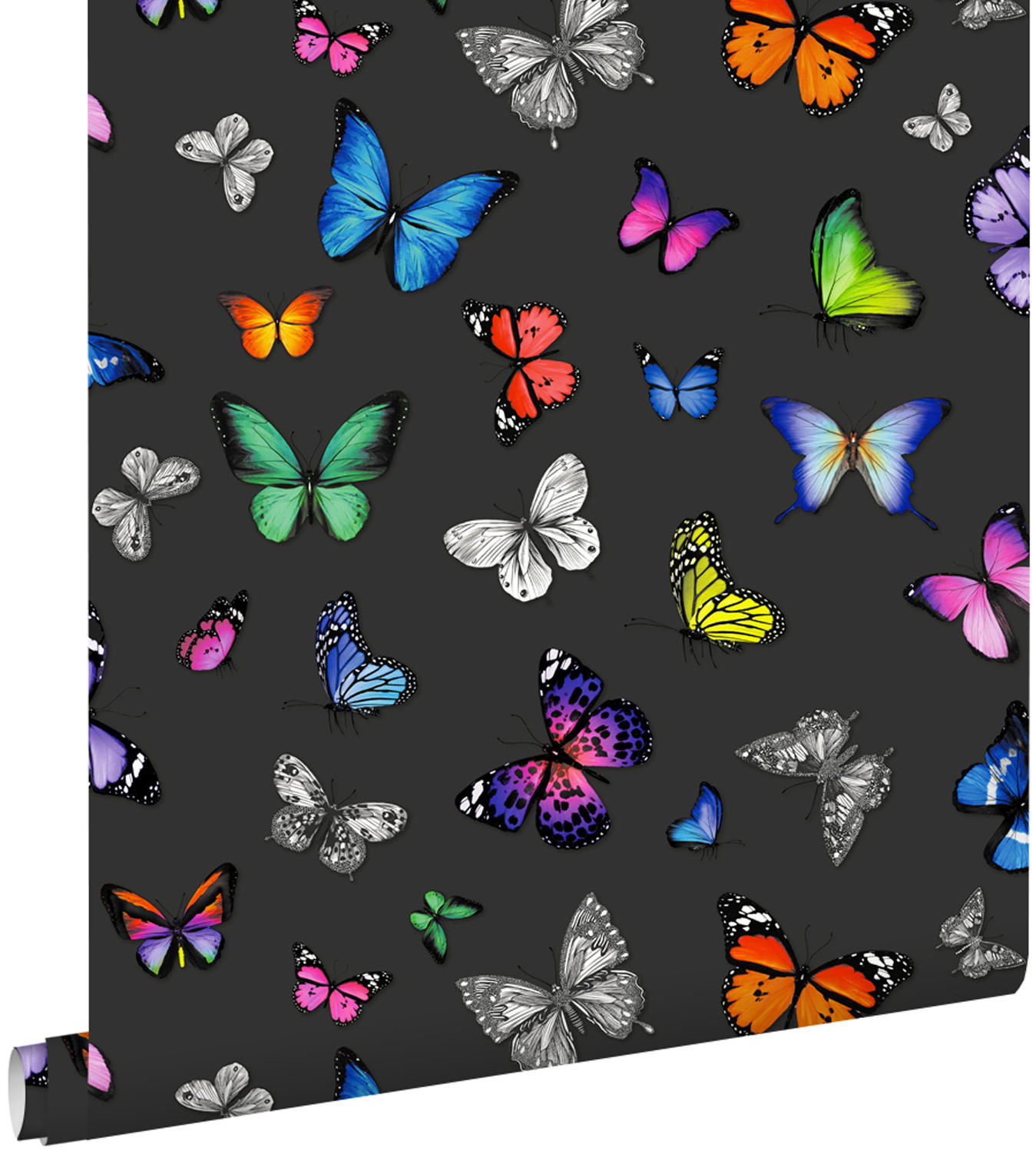 TAPETE Schmetterlinge 53 cm x 10.05 m - Schwarz, Papier (53/1000cm) - ESTAhome