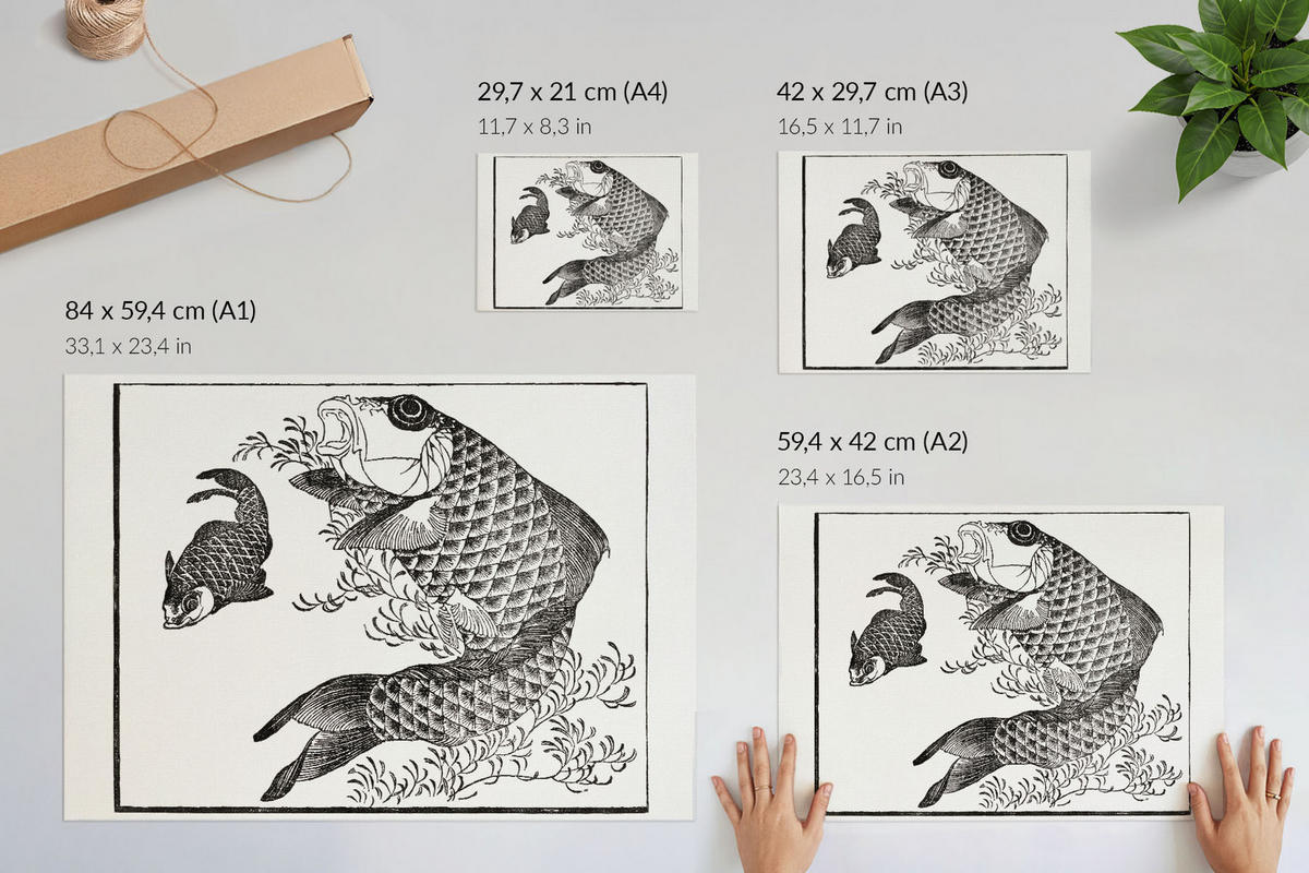 POSTER - 42x29 cm (A3) - Hokusai - Karpfen - Schwarz, Textil (42/29.7/0.1cm) - TULUP