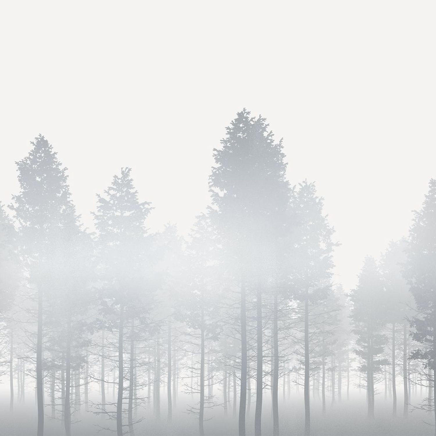 FOTOTAPETE Landschaft 400 x 280 cm - Schwarz, Papier (400/280cm) - Sanders & Sanders