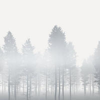 FOTOTAPETE Landschaft 400 x 280 cm - Schwarz, Papier (400/280cm) - Sanders & Sanders