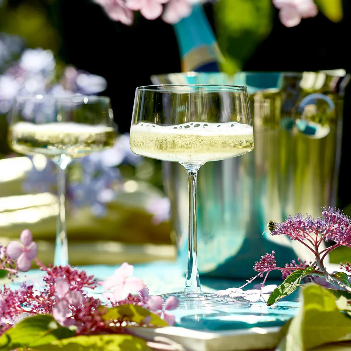 CHAMPAGNERSCHALE Power 6er Set - Transparent, Glas (0.276L) - Stölzle