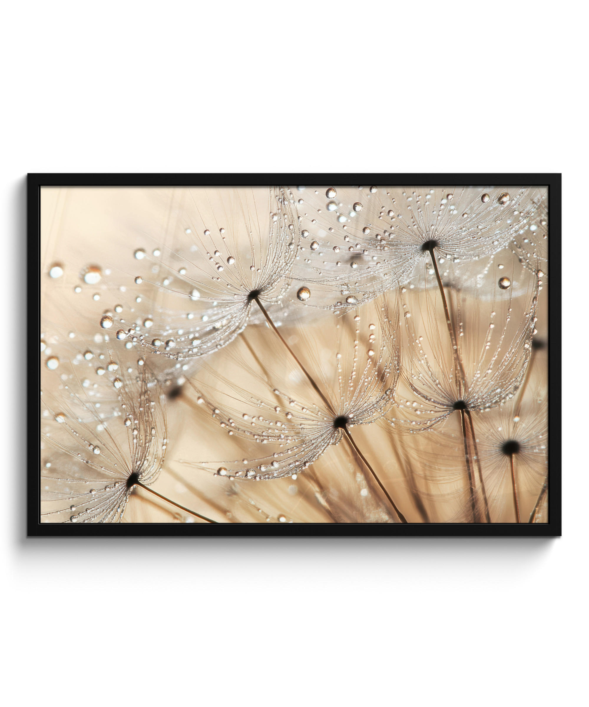 POSTER MIT RAHMEN Löwenzahn - Abstrakt - Natur - Beige 90x60 cm - Braun, Papier (90/60cm) - MuchoWow