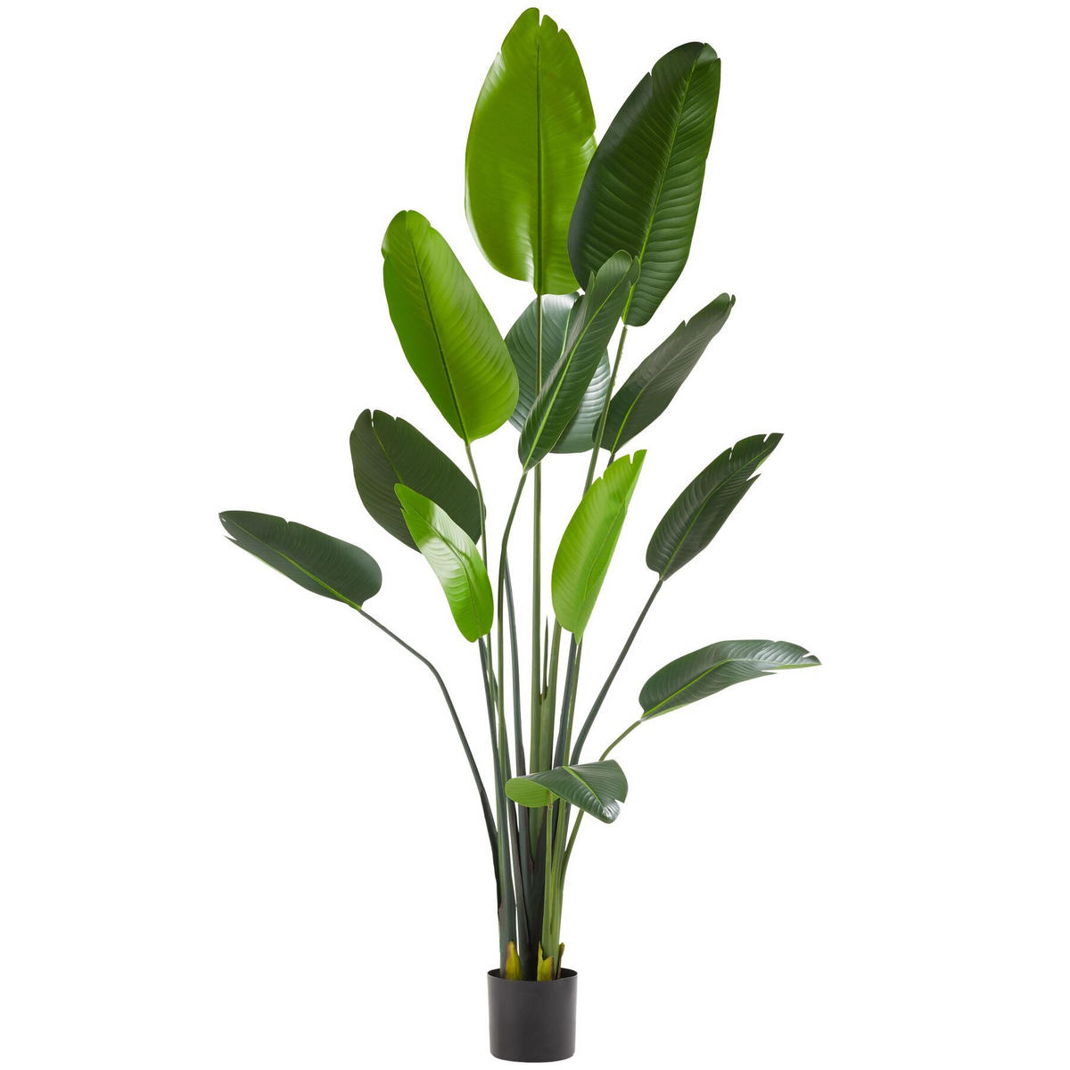 KÜNSTLICHER-PARADIESVOGELBAUM Tropic,stabiler Kunststoff-Blumentopf,grün - Grün, Kunststoff (180cm) - tectake