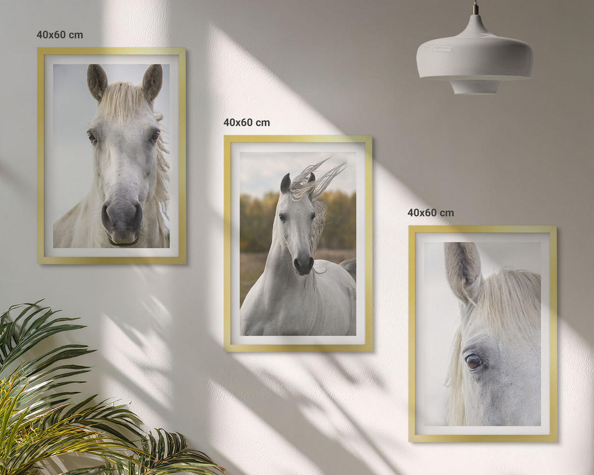 WANDBILDER 3er Set - 40x60 cm Goldrahmen - Weiße Pferde in der Natur - Goldfarben, Kunststoff (40/60cm) - ArtPrintCave