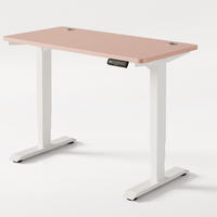 SCHREIBTISCH Elektrisch Höhenverstellbarer HomePro 120x60cm Weiß/Rosa mit Memory-Funktion, Anti-Kollisions Technologie - Pink/Weiß, Holzwerkstoff (60/120/72cm) - Desktronic