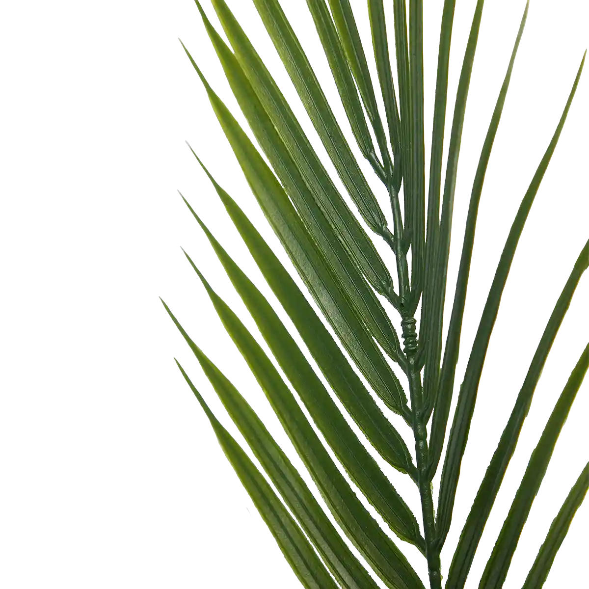 PALMEN Künstliche Bergpalme - Nolte 180 cm - Grün, Kunststoff (180cm) - aplanta