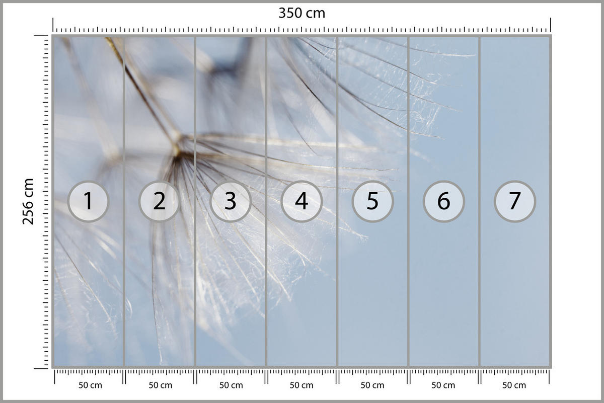 FOTOTAPETE für Schlafzimmer Zarte Löwenzahnblüten im Wind 350x256 - Braun/Weiß, Papier (350/256cm) - Muralo