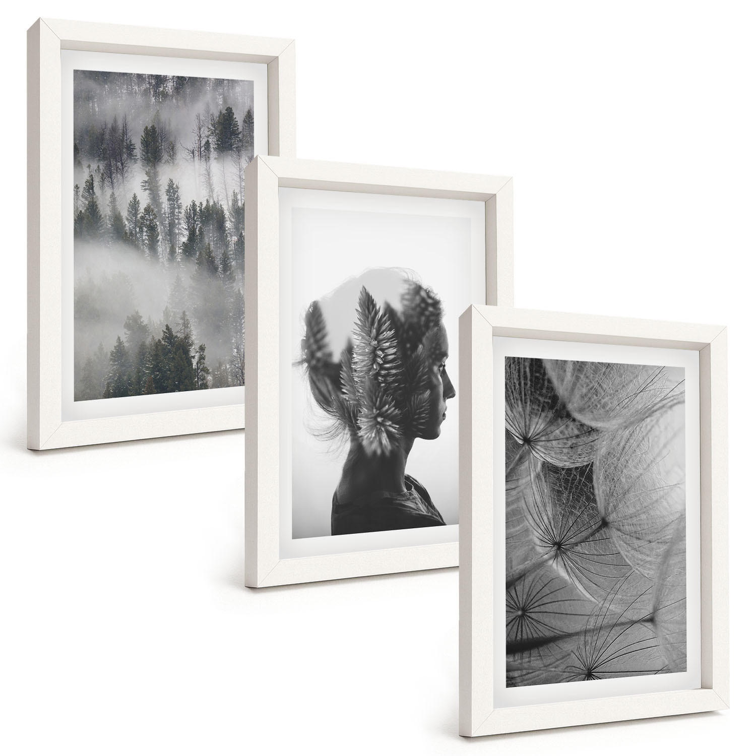 BILDER SET 3er Set - 20x30 cm Weißer Rahmen - Waldnebelporträt Baum Löwenzahn - Weiß, Kunststoff (20/30cm) - TULUP
