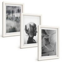 BILDER SET 3er Set - 20x30 cm Weißer Rahmen - Waldnebelporträt Baum Löwenzahn - Weiß, Kunststoff (20/30cm) - TULUP