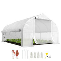 GEWÄCHSHAUS DE-12046 mit 8 Fenstern & Rolltür Weiß - Weiß, Kunststoff (300/200/395cm) - ComfortXL