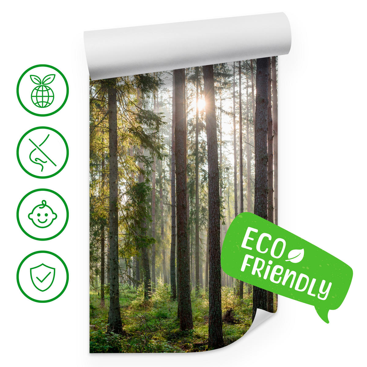 FOTOTAPETA Pre Obývaciu Izbu LES Východ Slnka Mach Stromy Zelená 150 x 105 cm - hnedá/sivá, papier (150/105cm) - Muralo