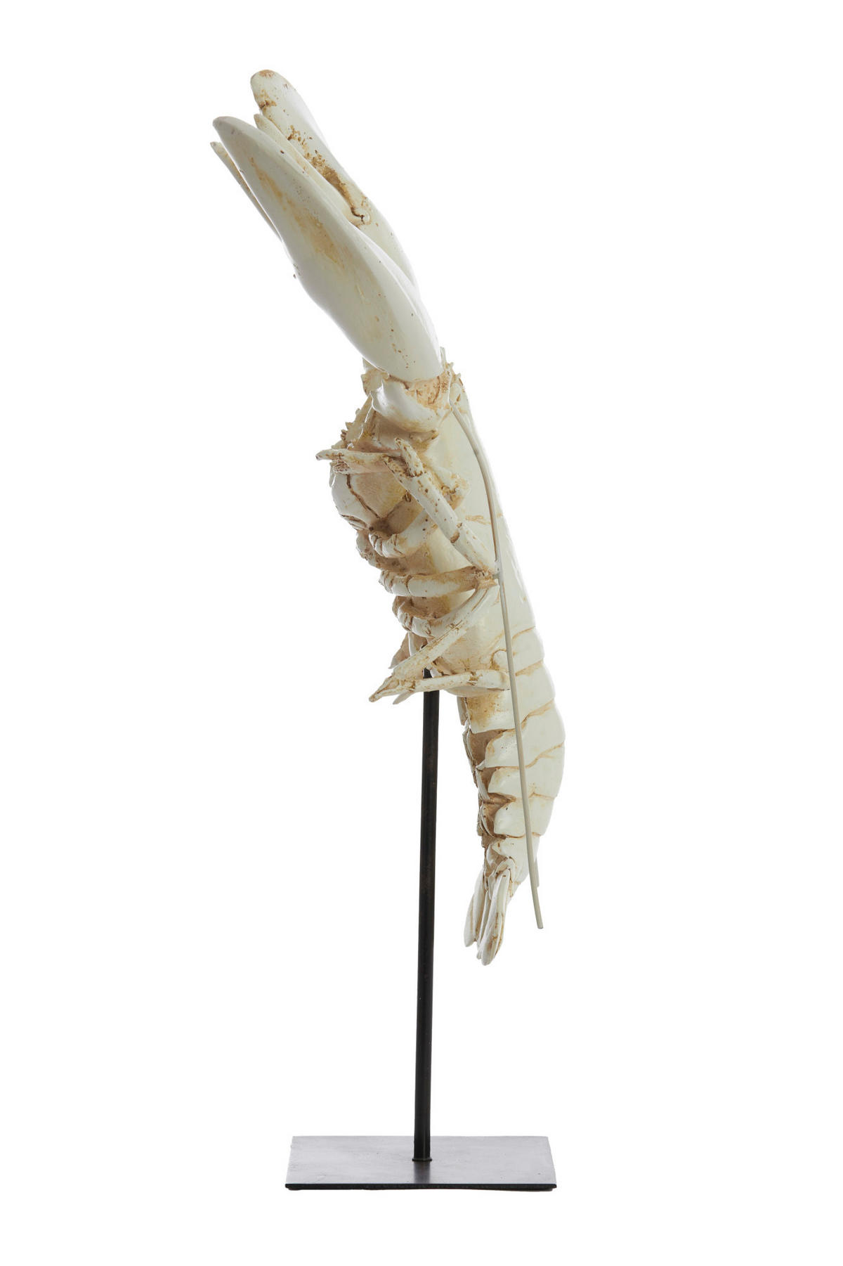 ORNAMENT Hummer Weiß 25/14/56,5 cm - Weiß, Kunststoff (14/56.5/25cm) - Light & Living