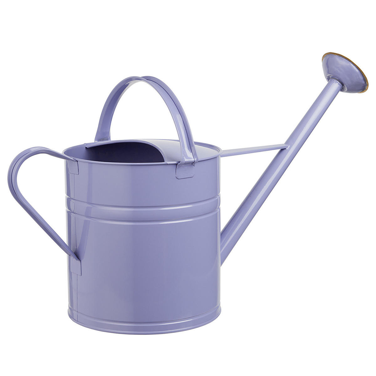 GIESSKANNE Zinc 8L - Violett, Metall (23/35/65cm) - Butlers