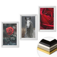 WANDBILDER 3er-Set - 40x60 cm Weißer Rahmen - Rote Rosen, Pferdegrau, Welt - Weiß, Kunststoff (40/60cm) - ArtPrintCave