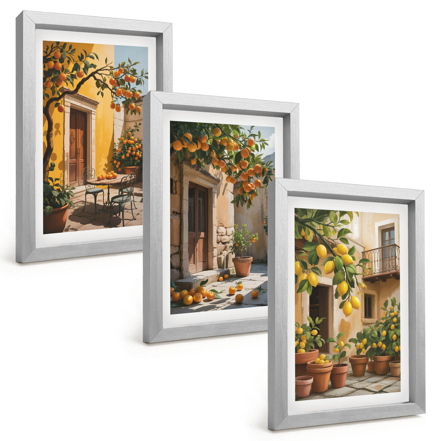 BILDER SET 3er Set - 20x30 cm Silberner Rahmen - Zitrusfrüchte, Hofpflanzen - Silberfarben, Kunststoff (20/30cm) - TULUP
