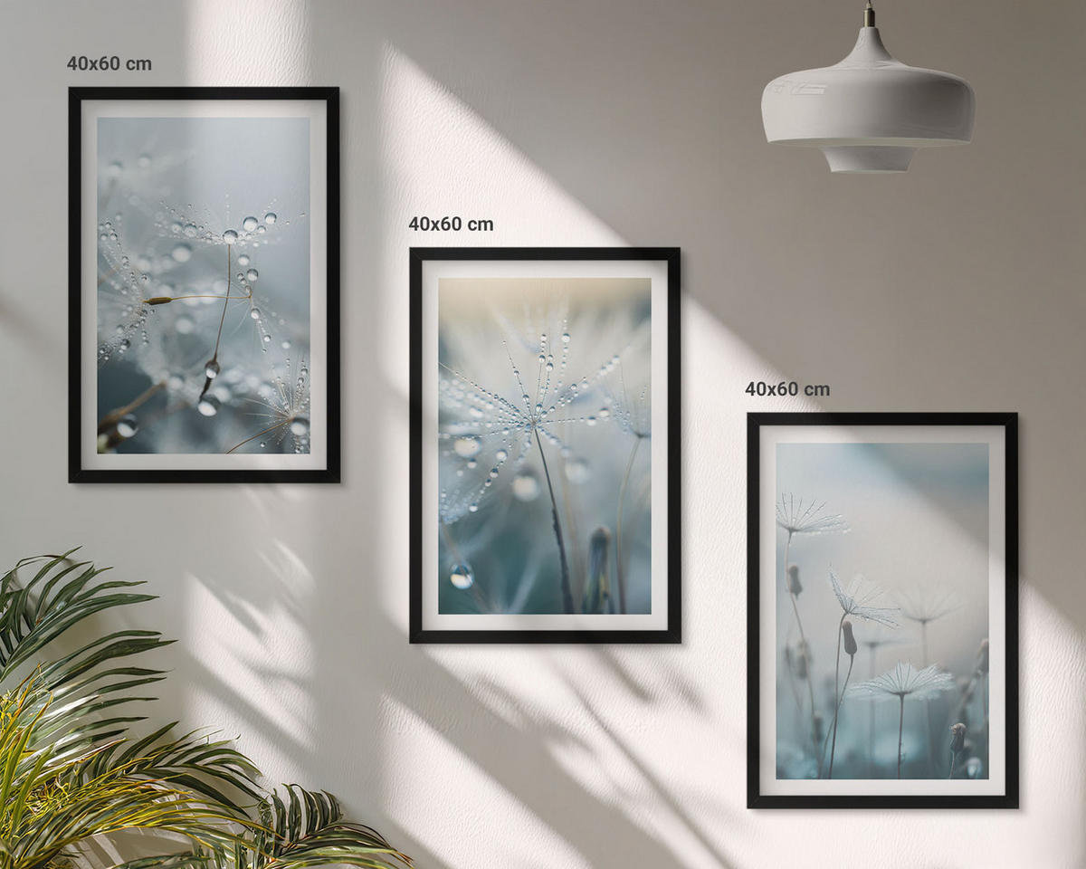 BILDER SET 3er Set - 40x60 cm Schwarzer Rahmen - Tautropfen auf Löwenzahn - Schwarz, Kunststoff (40/60cm) - TULUP