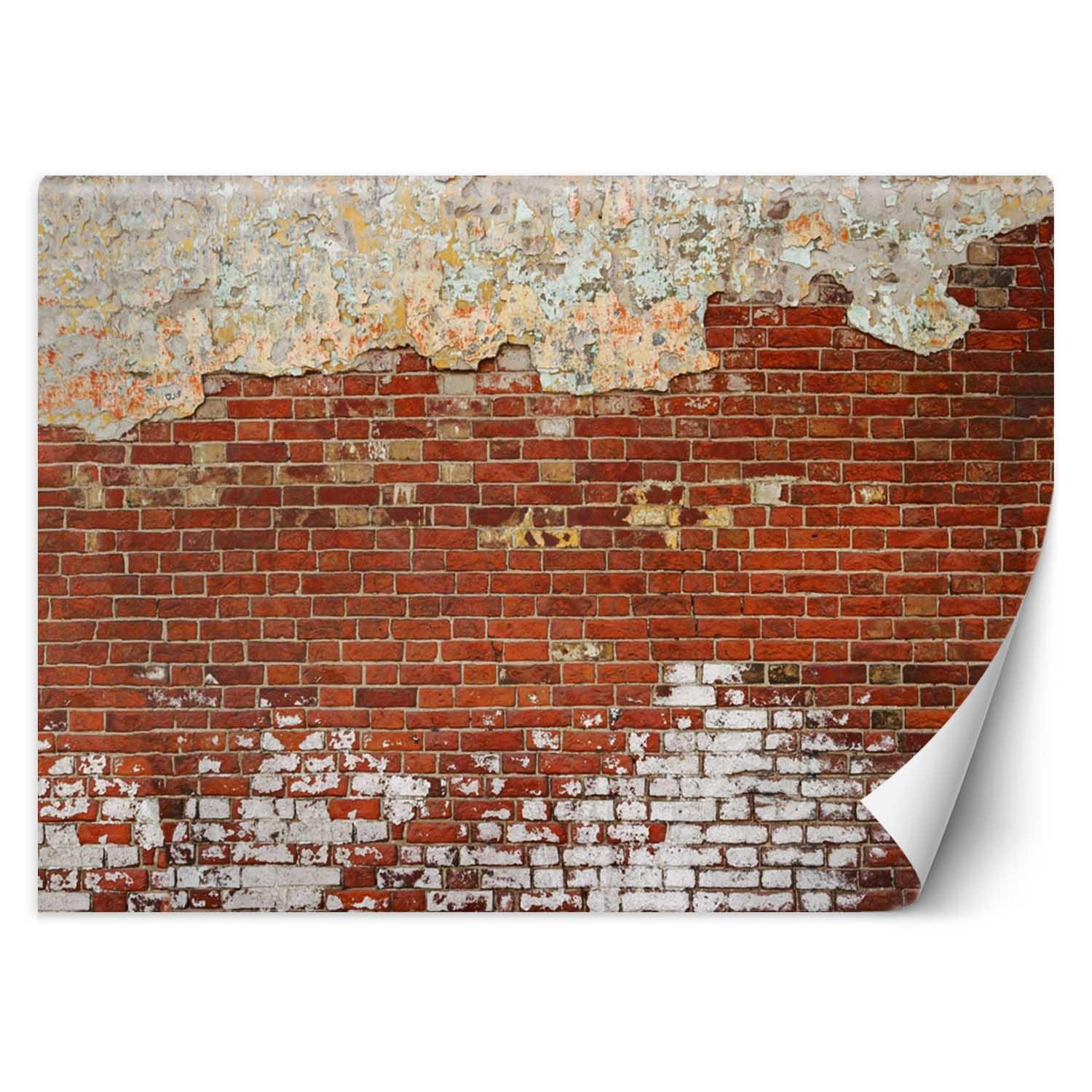 VLIESTAPETE Rot 350/245 cm - Rot, Textil (350/1cm) - KUNSTLOFT