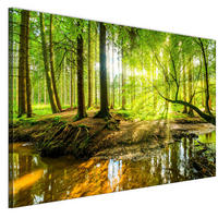 LEINWANDBILD Wald 90x60 cm - Multicolor, Holz (90/60cm) - LUMASOUL