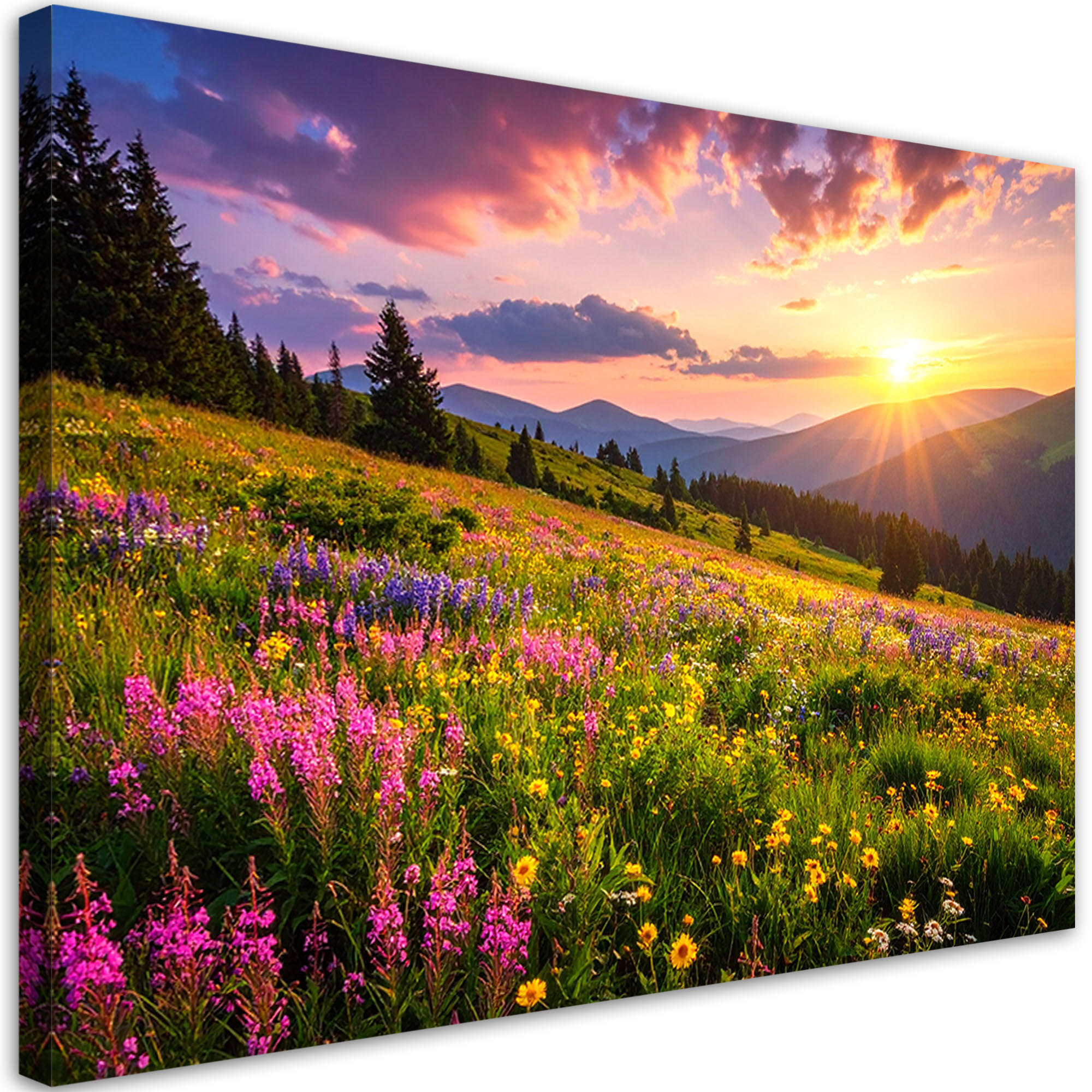 LEINWANDBILD Wiese Blumen Berglandschaft Natur 100x70cm - Multicolor, Textil (100/70cm) - Feeby