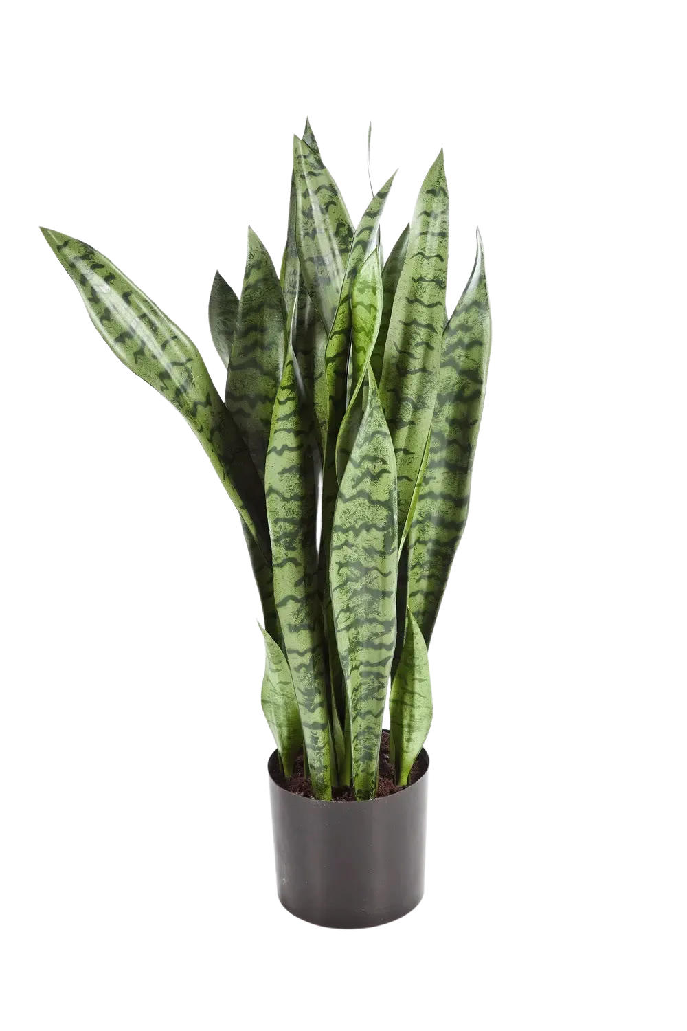 aplanta Kunstpflanze Natur 80 cm