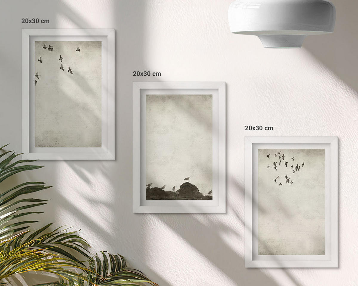 WANDBILDER 3er-Set - 20x30 cm Weißer Rahmen - Fliegende Vögel Minimalismus - Weiß, Kunststoff (20/30cm) - ArtPrintCave