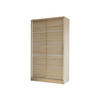 SCHWEBETÜRENSCHRANK Diego IV - Sonoma Eiche, Holzwerkstoff/Metall (100/200/58cm) - MIRJAN24