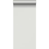 TAPETE Streifen 53 cm x 10.05 m - Grau, Papier (53/0.1cm) - Sanders & Sanders