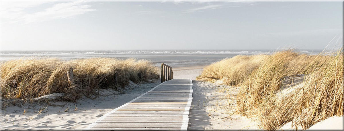 GLASBILD 80x30 cm Strand und Meer - Beige, Glas (80/30cm) - artissimo