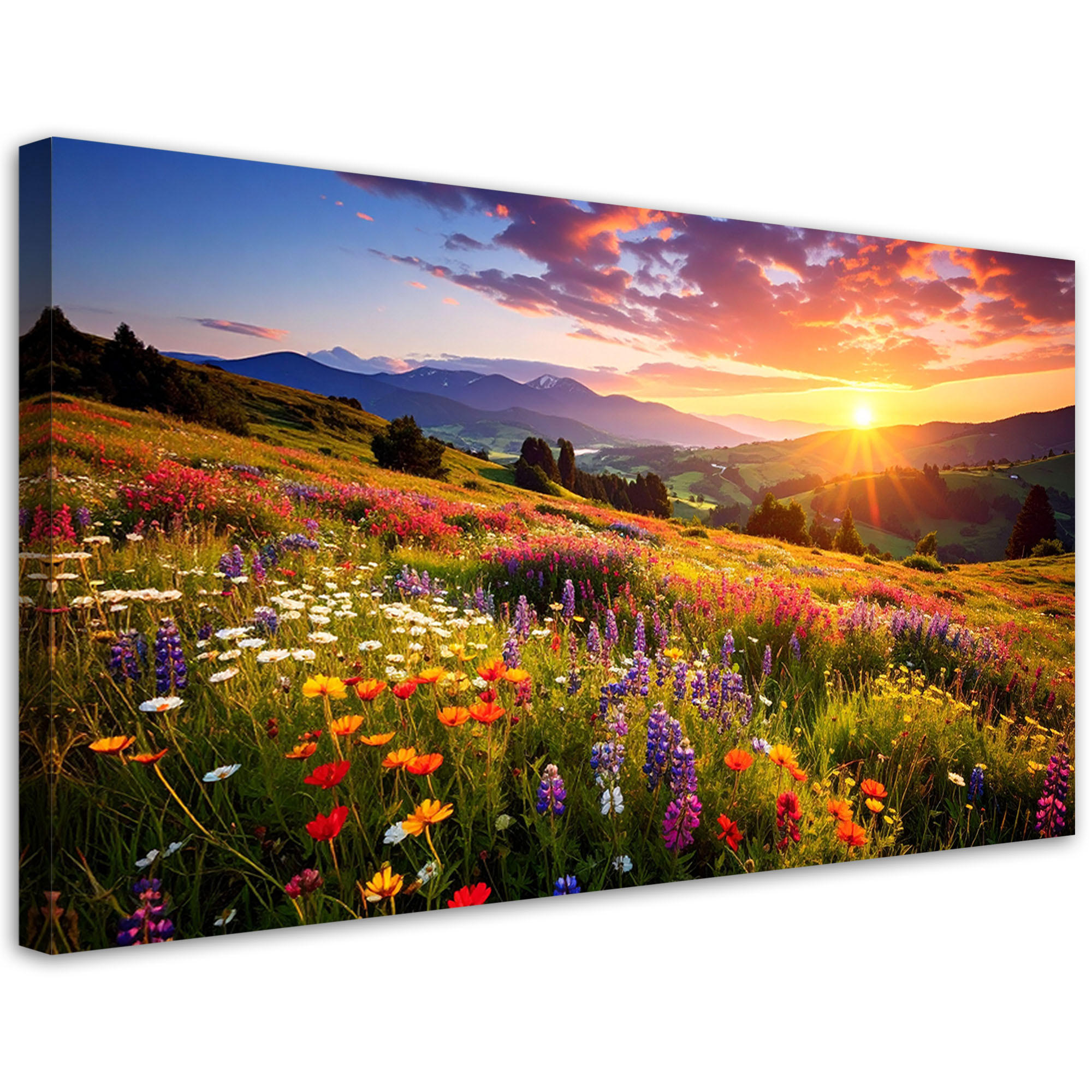 LEINWANDBILD Landschaften 100x50cm - Multicolor, Textil (100/50cm) - Feeby