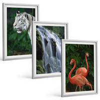 BILDER SET 3er Set - 40x60 cm Silberner Rahmen - Tiger Wasserfall Flamingos Natur - Silberfarben, Kunststoff (40/60cm) - TULUP