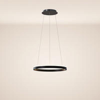 LED-HÄNGELAMPE Ring Schwarz Ø 40cm - Schwarz, Metall (40/40/3.3cm) - s.luce