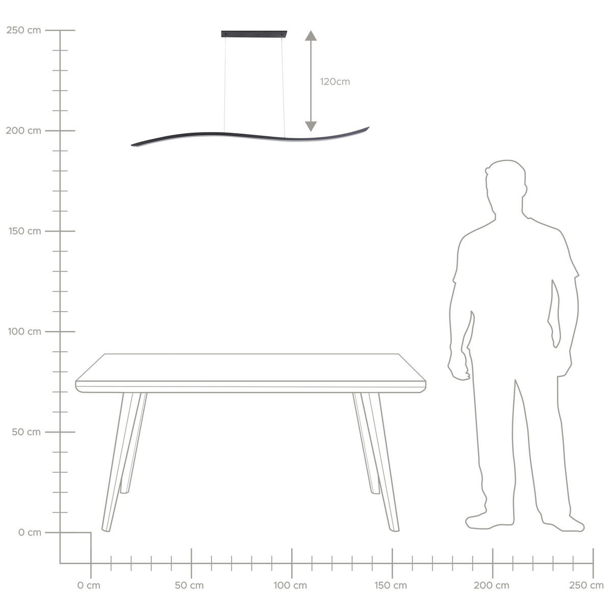 HÄNGELEUCHTE Calao 17/120/160 cm - Schwarz, Metall (17/120/160cm) - Beliani