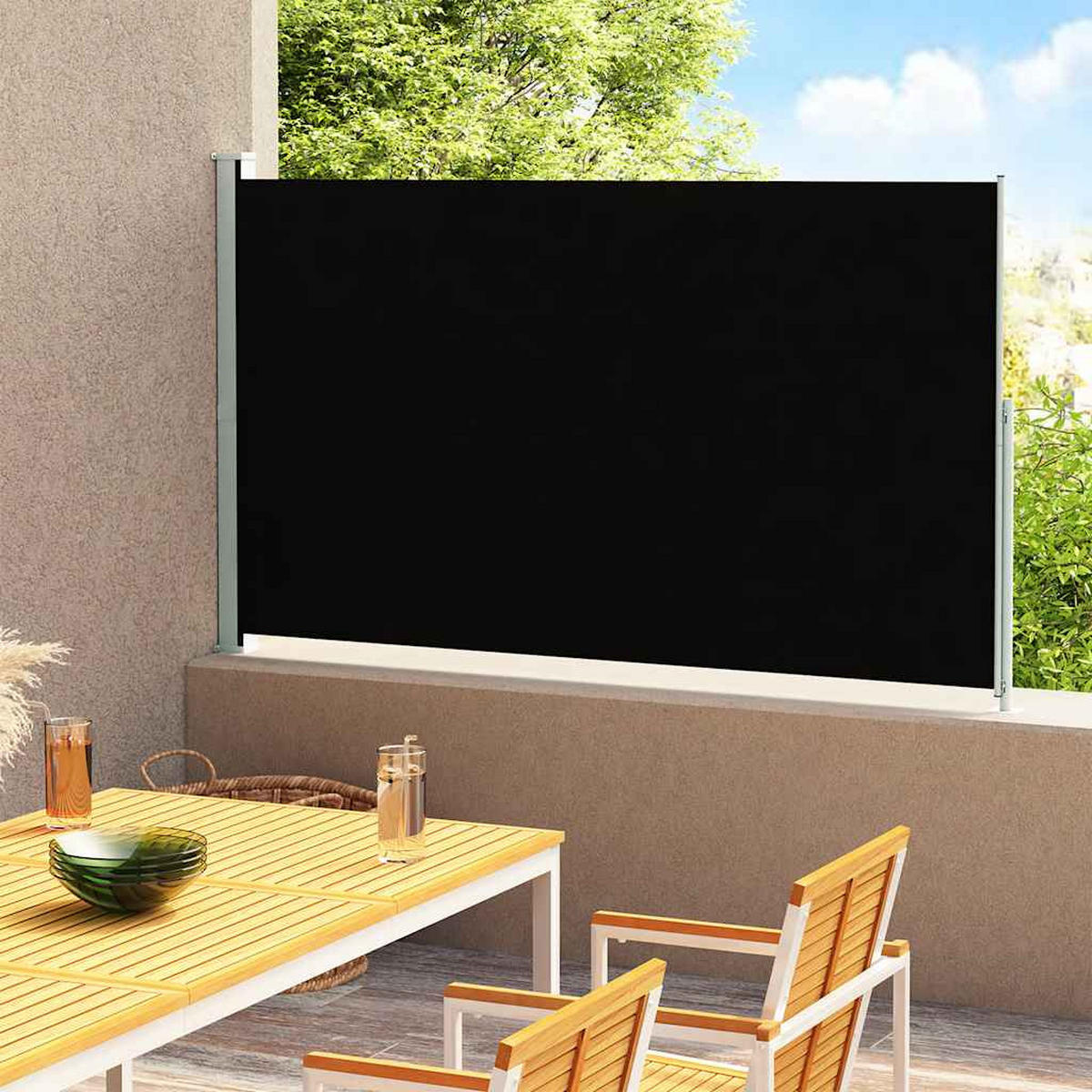SEITENMARKISE Ausziehbar 180x300 cm Schwarz - Schwarz, Textil (300/180/300cm) - furnicato