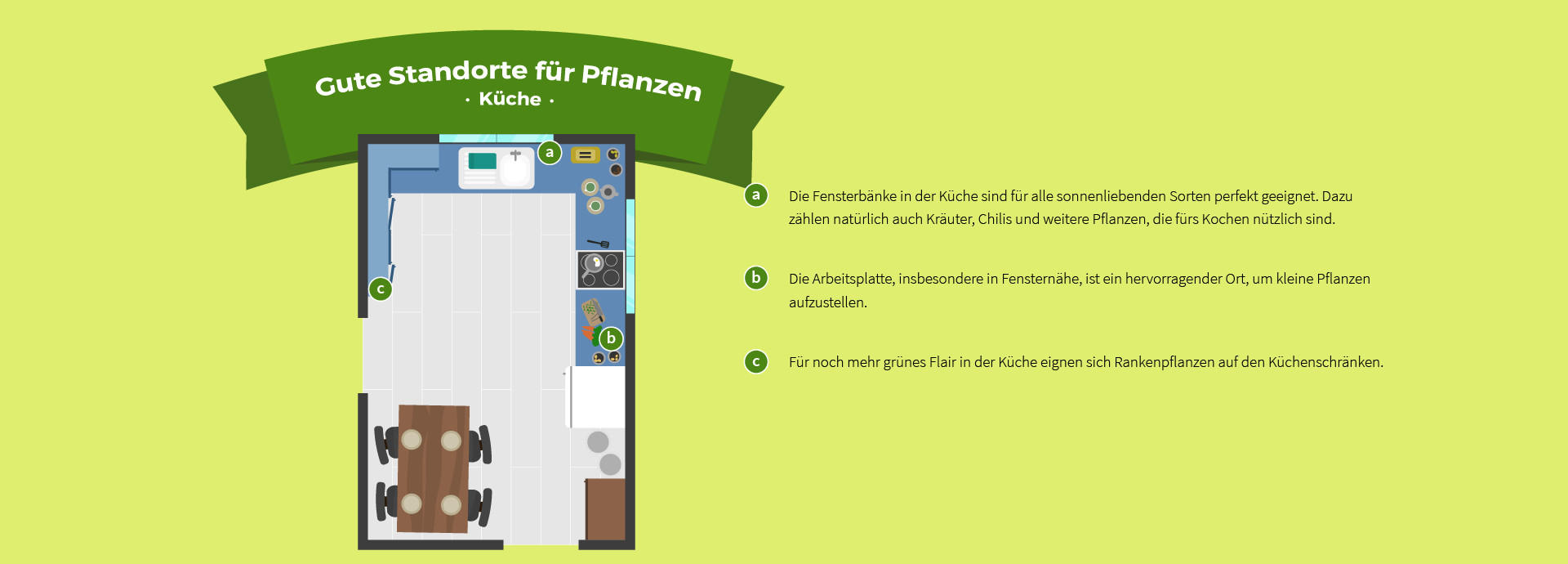 Raumübersicht Küche, Die passende Pflanze für jedes Zimmer XXXLutz
