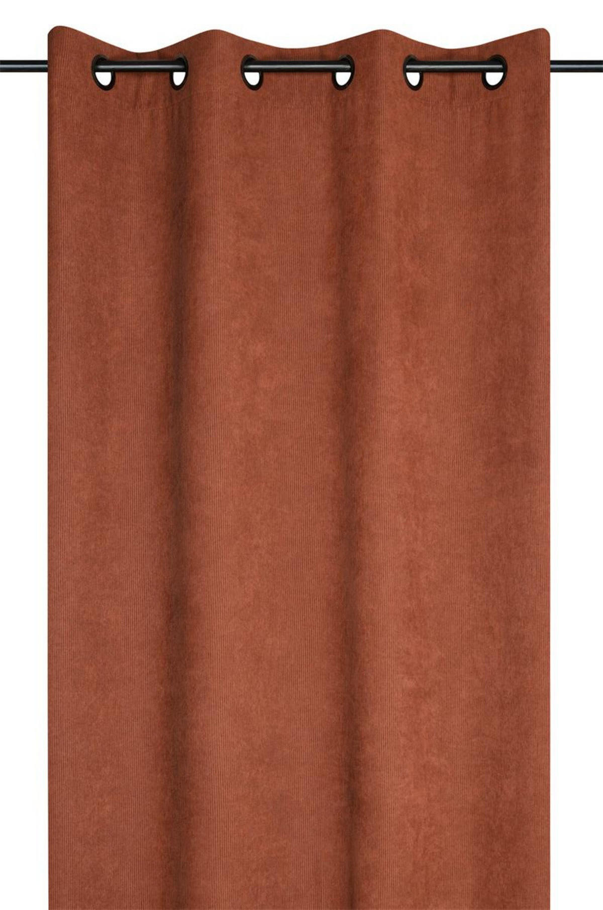 VORHANG Samt Dandy 140/260 cm - Rot, Textil (140/260cm)