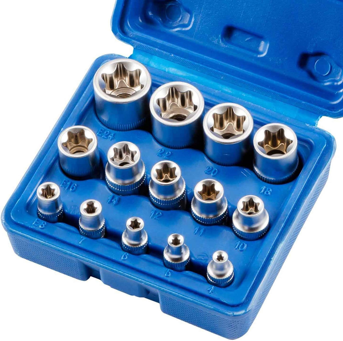 STECKSCHLÜSSELSATZ - 14-teiliger Steckschlüsselsatz Typ E in Blütenform mit Aufbewahrungsbox (blau) - Blau, Metall (13/12/5.5cm) - DCA