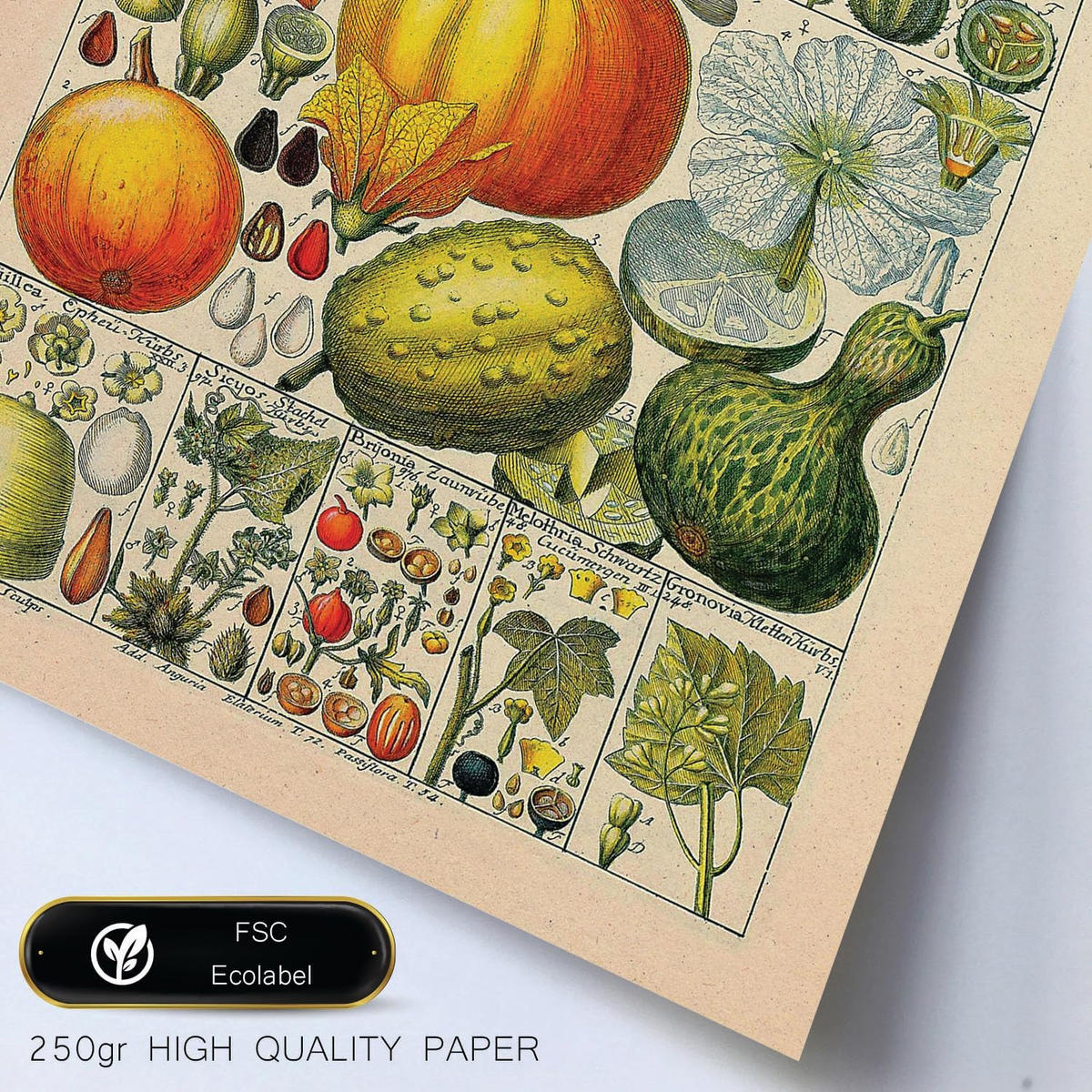 POSTER Set Mit 6 Gesund In Vintage A3 & A4 Weißer Rahmen - Weiß, Papier (29/3cm) - Nacnic