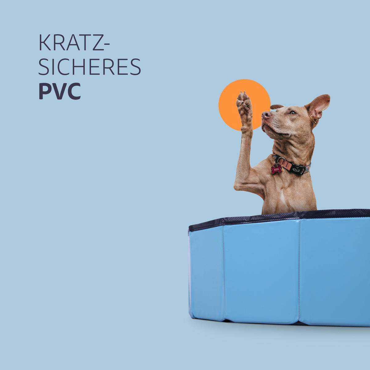 HUNDEPOOL faltbar mit Ablassventil Ø120x30cm - Blau, Kunststoff (120/30/120cm) - Bestlivings