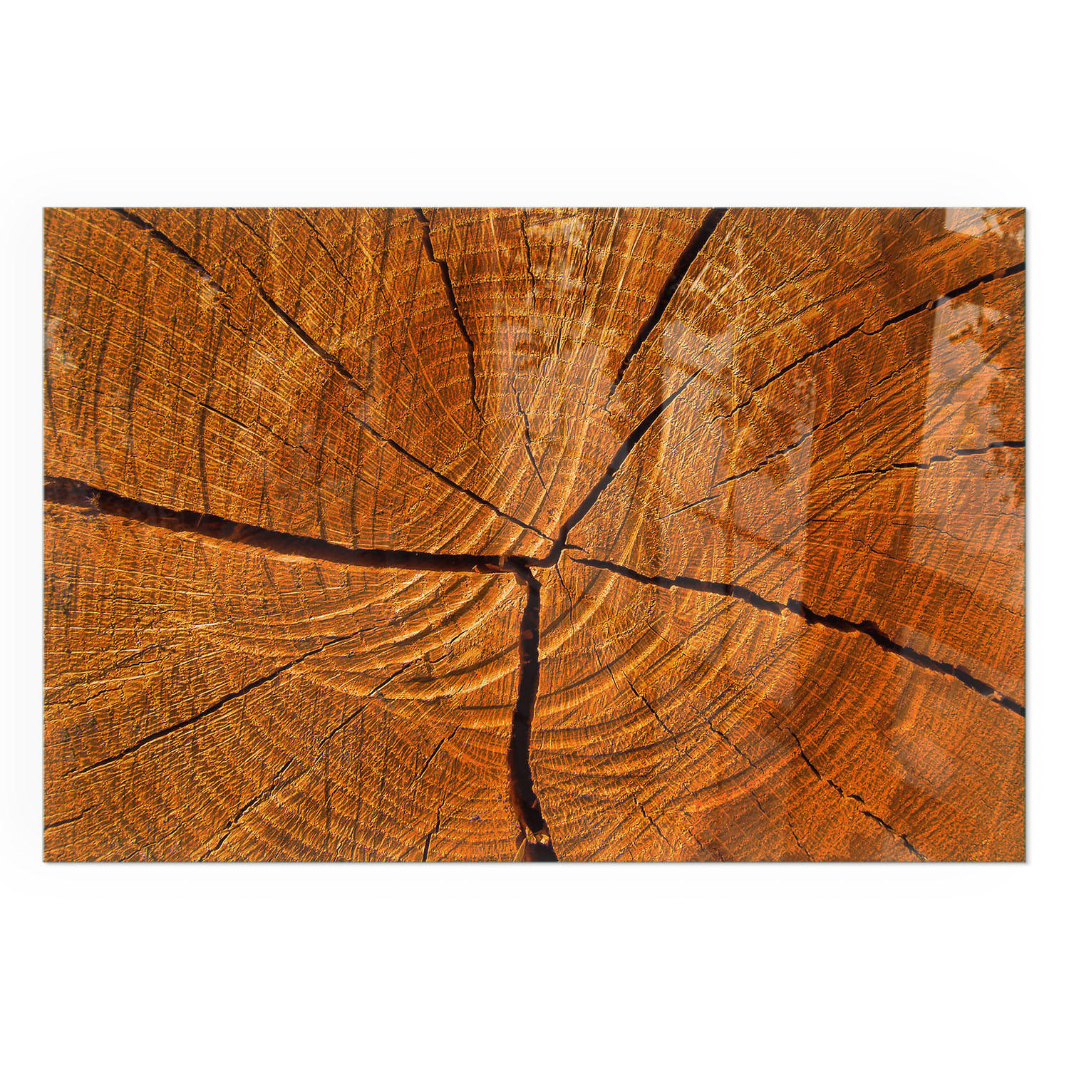 GLASPLATTE für Kamin 60x40 cm - Orange, Glas (60/40/0.4cm) - TULUP