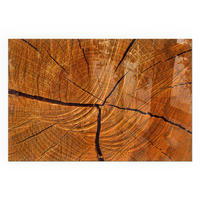 GLASPLATTE für Kamin 60x40 cm - Orange, Glas (60/40/0.4cm) - TULUP