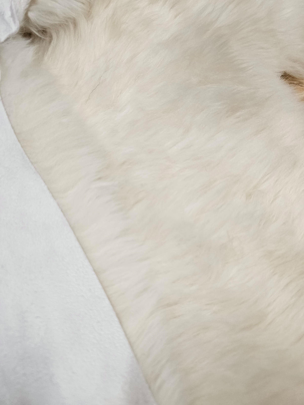 SCHAFFELL Skandinavisch Weiß mit braunen Punkten ca. 110 cm - Weiß/Braun, Fell (60/110cm) - Provellus