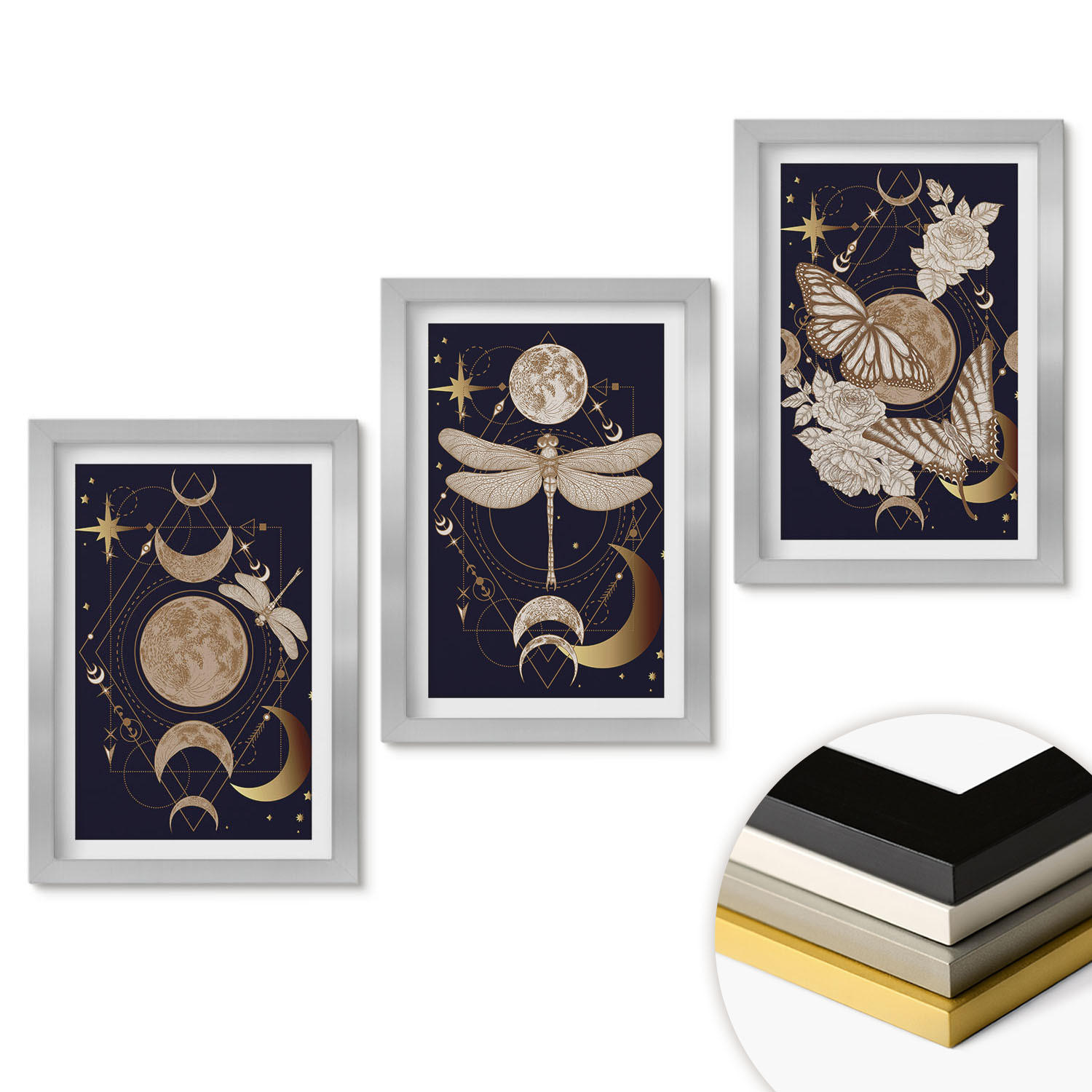WANDBILDER 3er Set - 20x30 cm Silberner Rahmen - Naturmotive Mondblumen - Silberfarben, Kunststoff (20/30cm) - ArtPrintCave