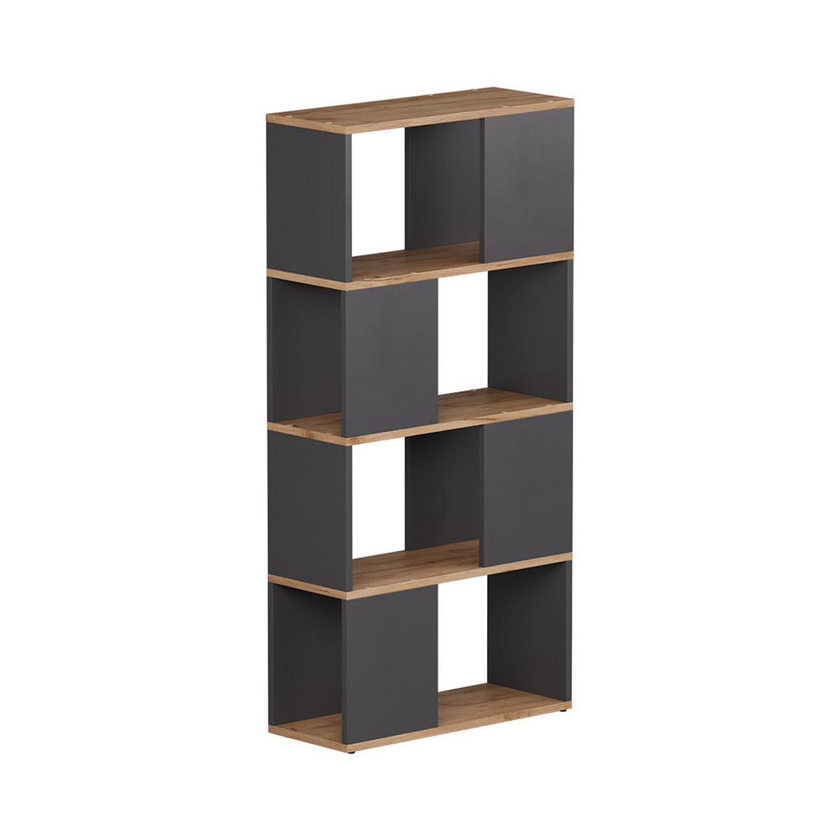 RAUMTEILER Eneos Anthrazit/Goldkraft Eiche 60 x 124.5 cm - Anthrazit/Eiche Wotan, Holzwerkstoff (60/124.5/24cm) - Vicco