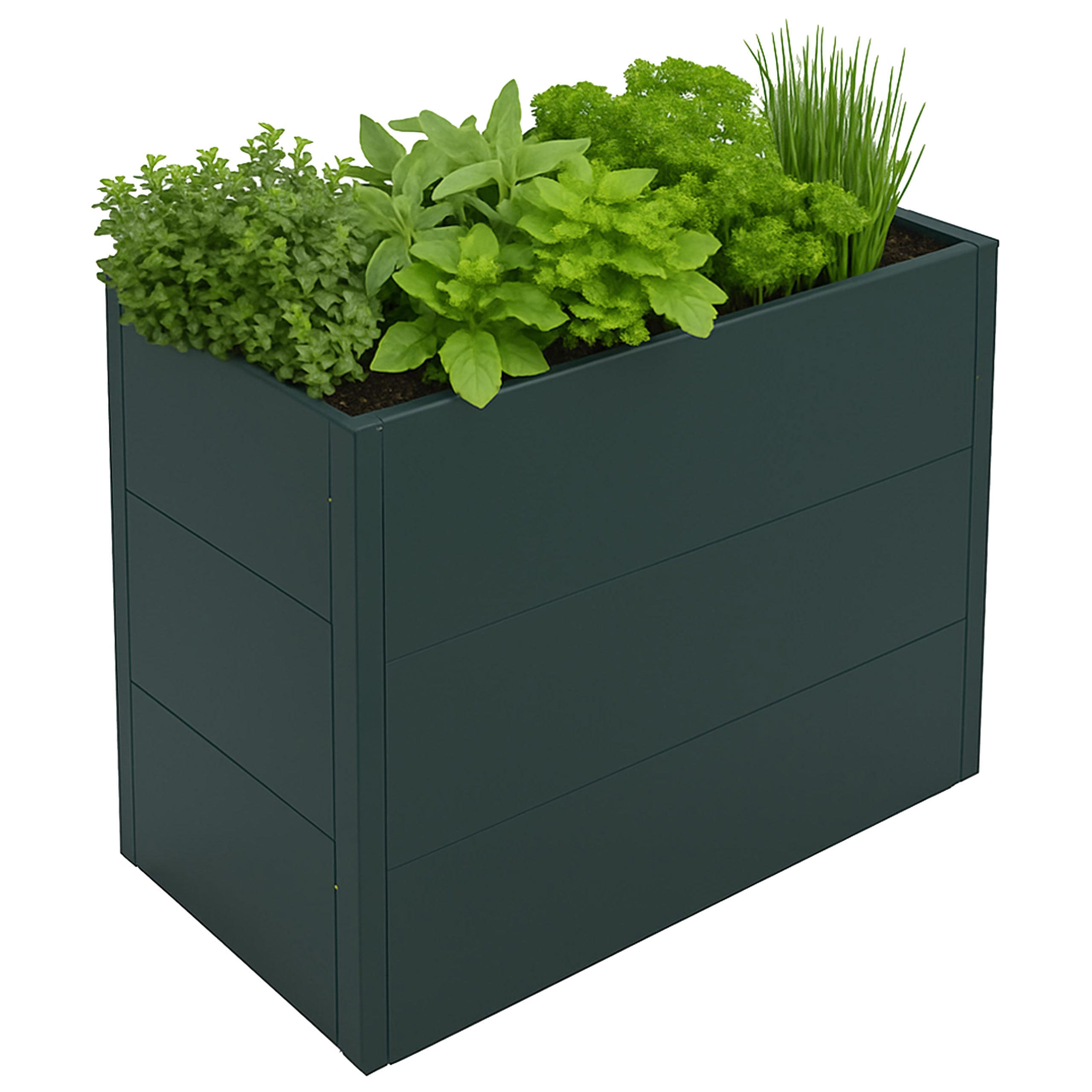 HOCHBEET 77x100x50cm Grün - Grün, Metall (100/77/50cm) - PROREGAL