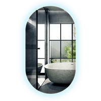 LED-SPIEGEL 46x80 cm Asymmetrisch Kaltweiß 6000K - Blau, Glas (46/80/0.4cm) - Wallfluent