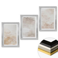 WANDBILDER 3er Set - 20x30 cm Silberner Rahmen - Aquarell-Pastellblätter - Silberfarben, Kunststoff (20/30cm) - ArtPrintCave