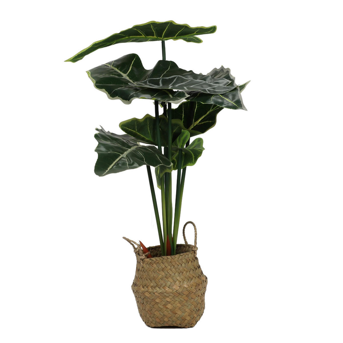 ALOKASIEN Kunstblume im Korb 30/30/51 cm - Grün, Kunststoff (51cm) - Home Styling Collection